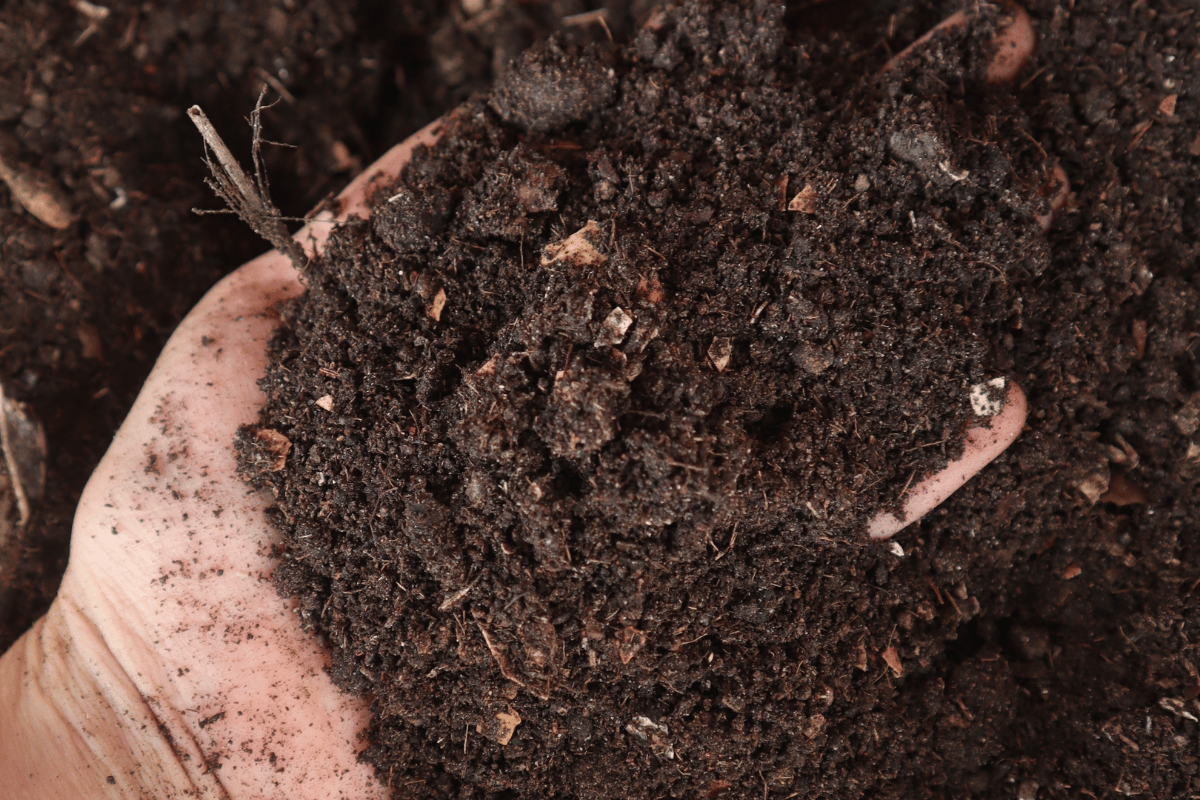 Vermicompost is among the organic fertilisers richest in microbial life..png